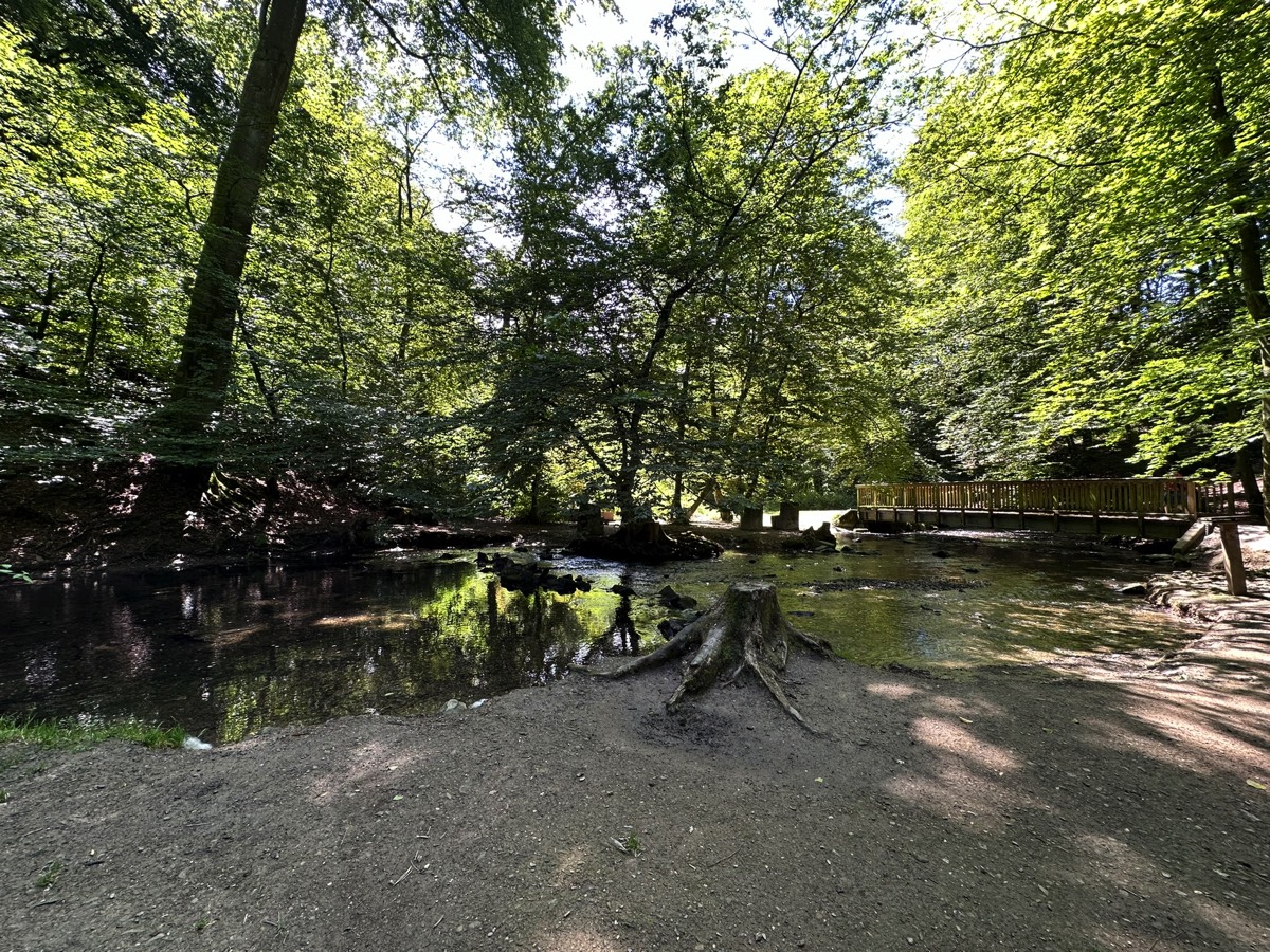 Stacks Image 54