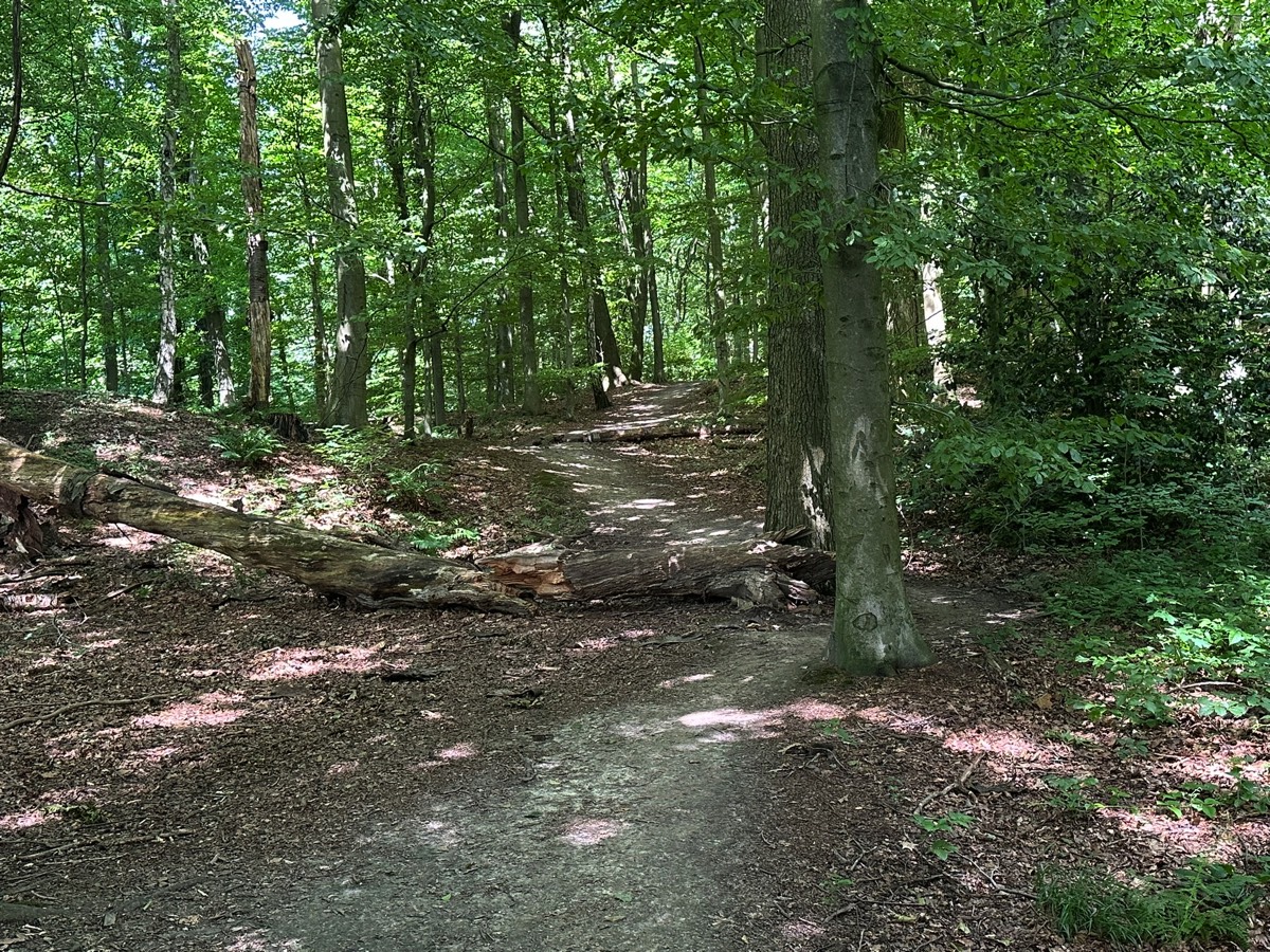 Stacks Image 62